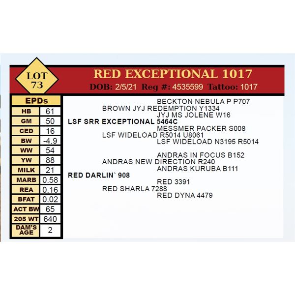 RED EXCEPTIONAL 1017
