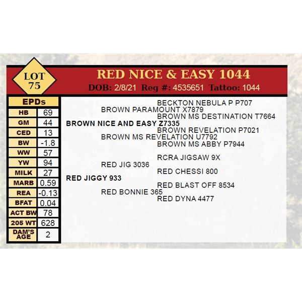 RED NICE & EASY 1044