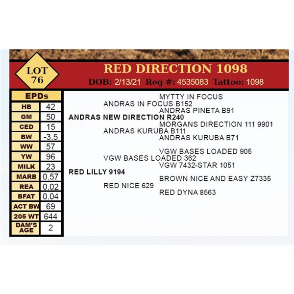 RED DIRECTION 1098