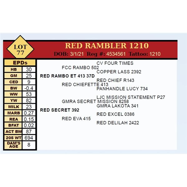 RED RAMBLER 1210
