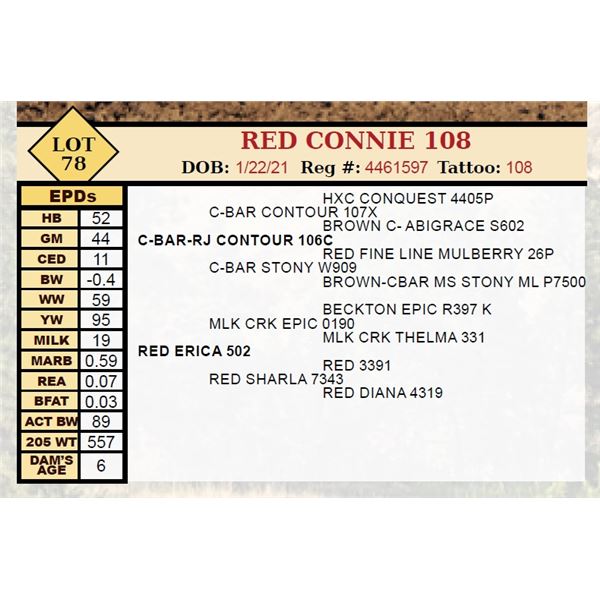 RED CONNIE 108