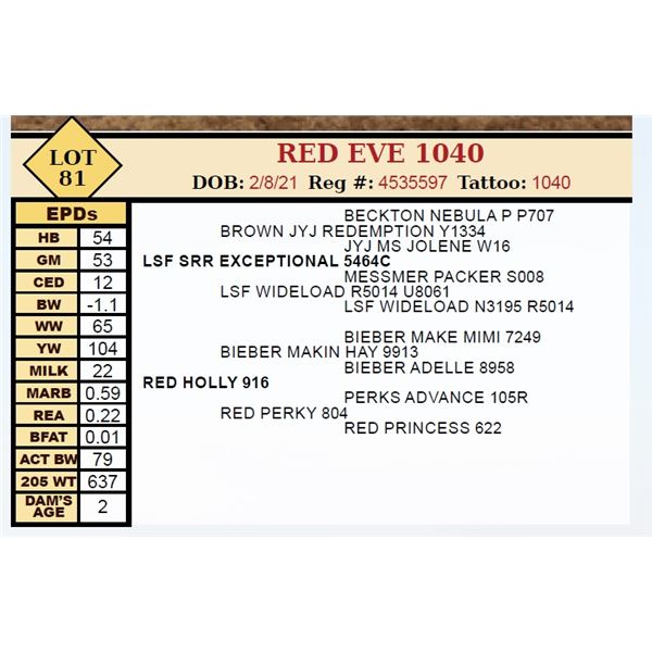 RED EVE 1040