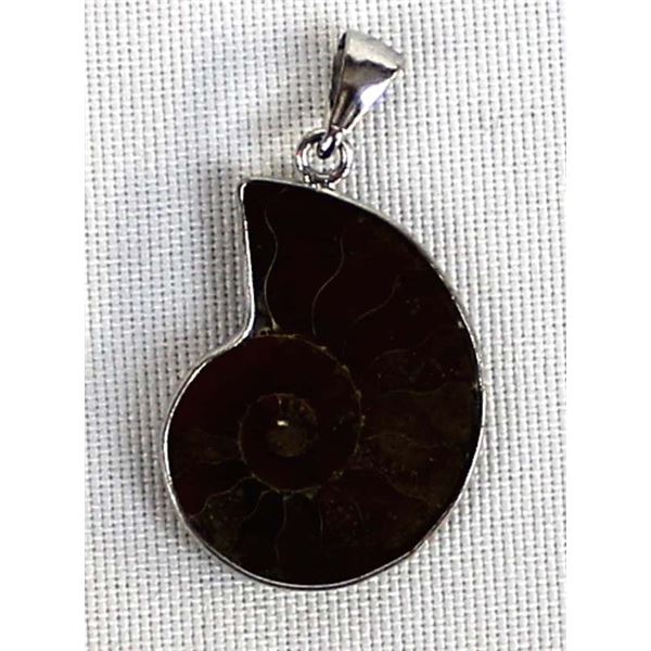 Sterling Silver Ammonite Fossil Pendant