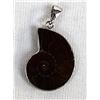 Image 1 : Sterling Silver Ammonite Fossil Pendant