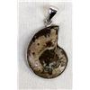 Image 3 : Sterling Silver Ammonite Fossil Pendant