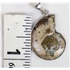 Image 4 : Sterling Silver Ammonite Fossil Pendant
