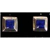 Image 1 : Sterling Lapis Post Earrings