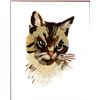 Image 2 : Framed Crewel Embroidery Cat Picture