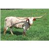 Image 1 : Lady Stetson DCR