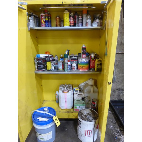 Degreaser and Brake Cleaner