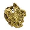 Image 1 : 2.61 Gram Yukon Gold Nugget