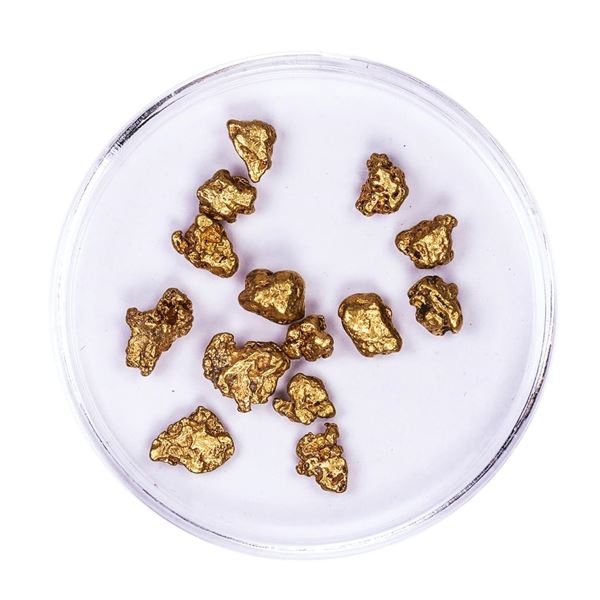 Lot of Gold Nuggets 5.91 grams Total Weight