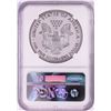 Image 2 : 2015-W $1 Proof American Silver Eagle Coin NGC PF70 Ultra Cameo