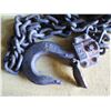 Image 2 : Harrington 1-1/2 Ton Lever Chain Hoist LB015