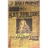 Image 1 : Autograph Harry Potter Newspaper Poster