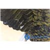 Image 7 : **Eagle Statue