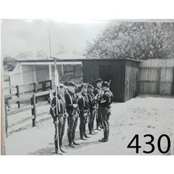 COLLECTION OF PHOTOGRAPHS