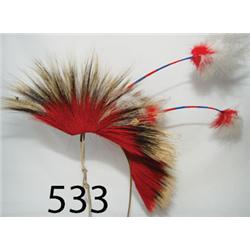 SIOUX ROACH