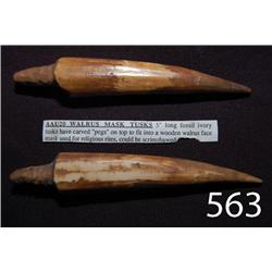 ESKIMO TUSKS