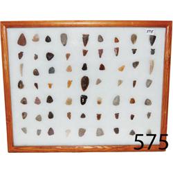 NORTHERN PLAINS POINTS