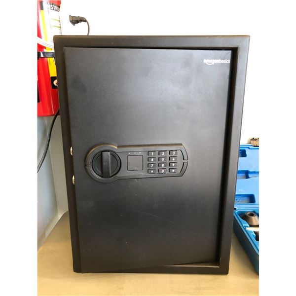 Amazonbasics Home Safe Test Site