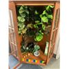 Image 1 : Corner Wood Pet Terrarium with Hanging Lamp and Inside Greenery & Décor Items - approx. 32in x 25 1/