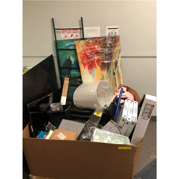 AMAZON BOX - Mystery Items - bottom of the pallet with left over goodies