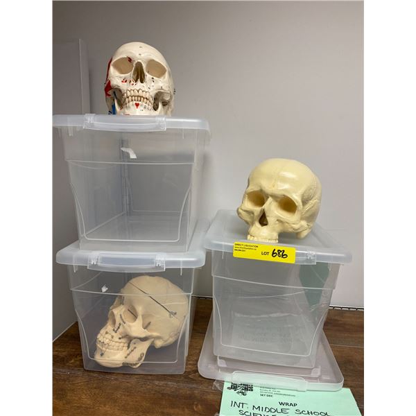 Group of three Skulls from the Hockey Show - Science Lab