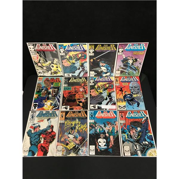 THE PUNISHER COMIC BOOK LOT (MARVEL COMICS)