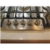 Image 5 : Island w/ Bosch 30" 5-Burner Stainless Steel Cooktop, Cabinets, Silestone Counter