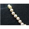 Image 2 : 558 Pearl Necklace w/ 14K Gold Clasps & 10mm Pearls, 8.25"L