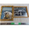 Image 1 : Polar bear + car pictures