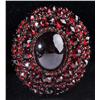 Image 1 : Victorian Garnet Pin.