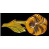 Image 1 : Large Bakelite Over Dyed Floral Clip.