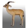 Image 1 : Steiff Studio Size Gazelle.