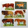 Image 1 : Lot of Boxed Tuck "Nodding Animals" Paper Toy.
