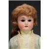 Image 4 : Lot of 3: German Bisque Head Child Dolls.