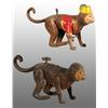Image 1 : Lot of 2: Tin Hand-Painted Monkey Wind-Up Toys.