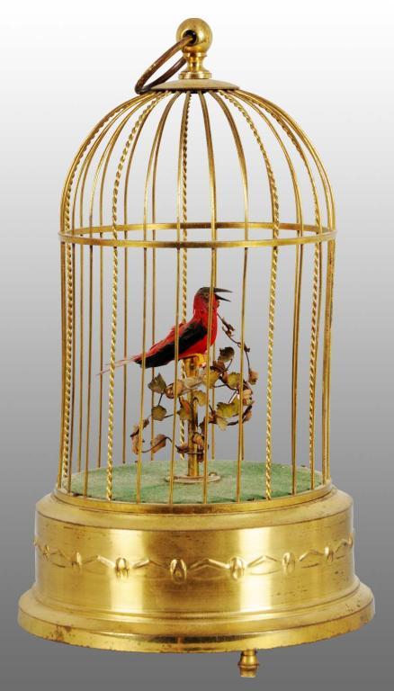 bird in a cage toy