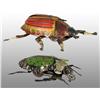 Image 1 : Lot of 2: Tin Hand-Painted Beetle Wind-Up Toys.