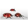 Image 1 : Lot of 3: Tin Lady Bug Wind-Up Toys.