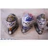 Image 2 : (6) NHL Goalie masks