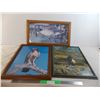 3 wildlife pictures in frames - eagle is 23x19