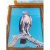 Image 2 : 3 wildlife pictures in frames - eagle is 23x19