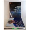 *coca-cola polar bear wall placard (scratched + water damage) + wayne gretzky print on plastic (bent