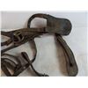 Image 2 : leather horse harness equipment - musty smelling