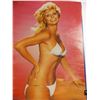 Image 4 : Loni Anderson - 1978 poster + OV Beer Swimsuit Calendar