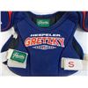 Image 2 : Childs Wayne Gretzky hockey pads - size S