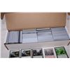 Image 4 : Box of Magic The Gathering Cards