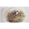 Image 3 : Shelley Kookaburra bird plate
